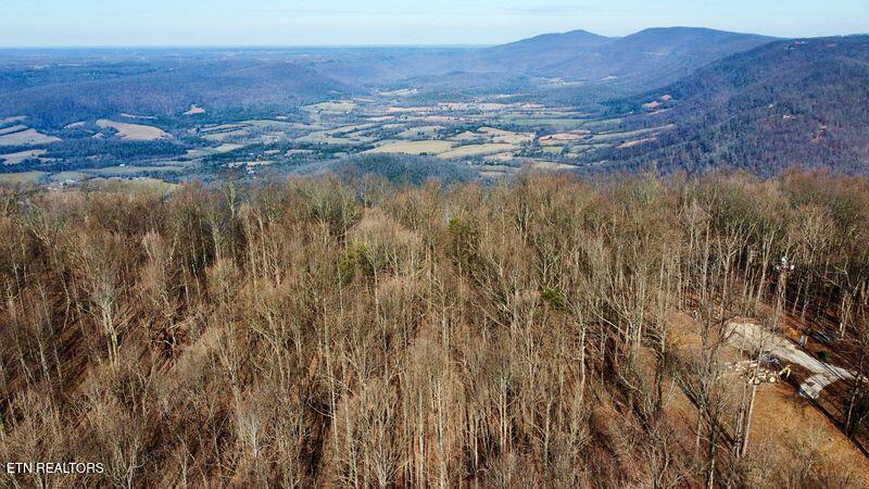 654 Briley Road Spring City TN 37381