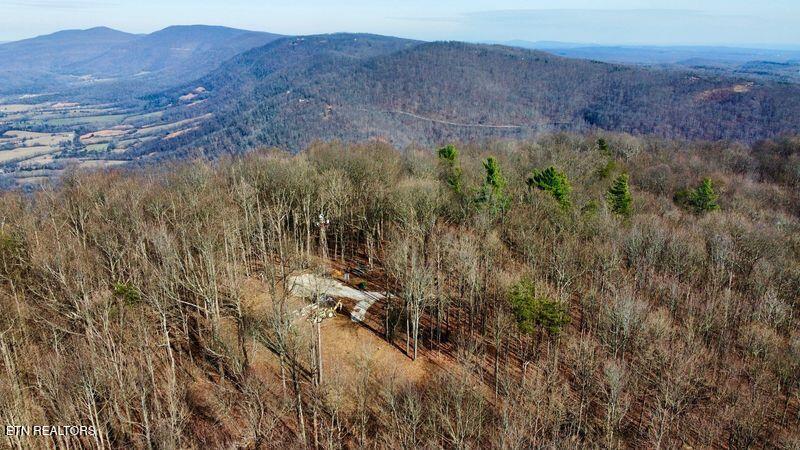 654 Briley Road Spring City TN 37381