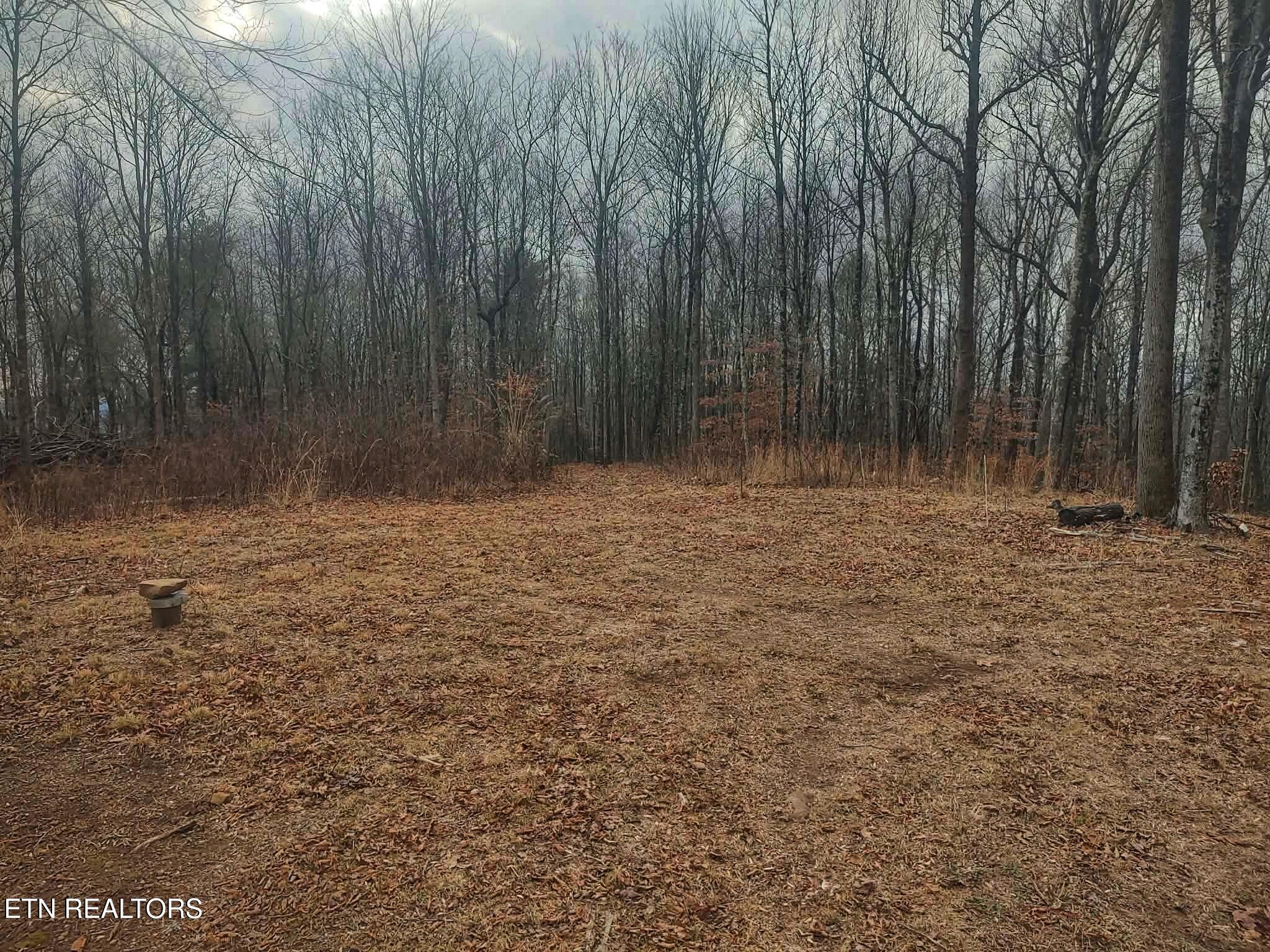654 Briley Road Spring City TN 37381
