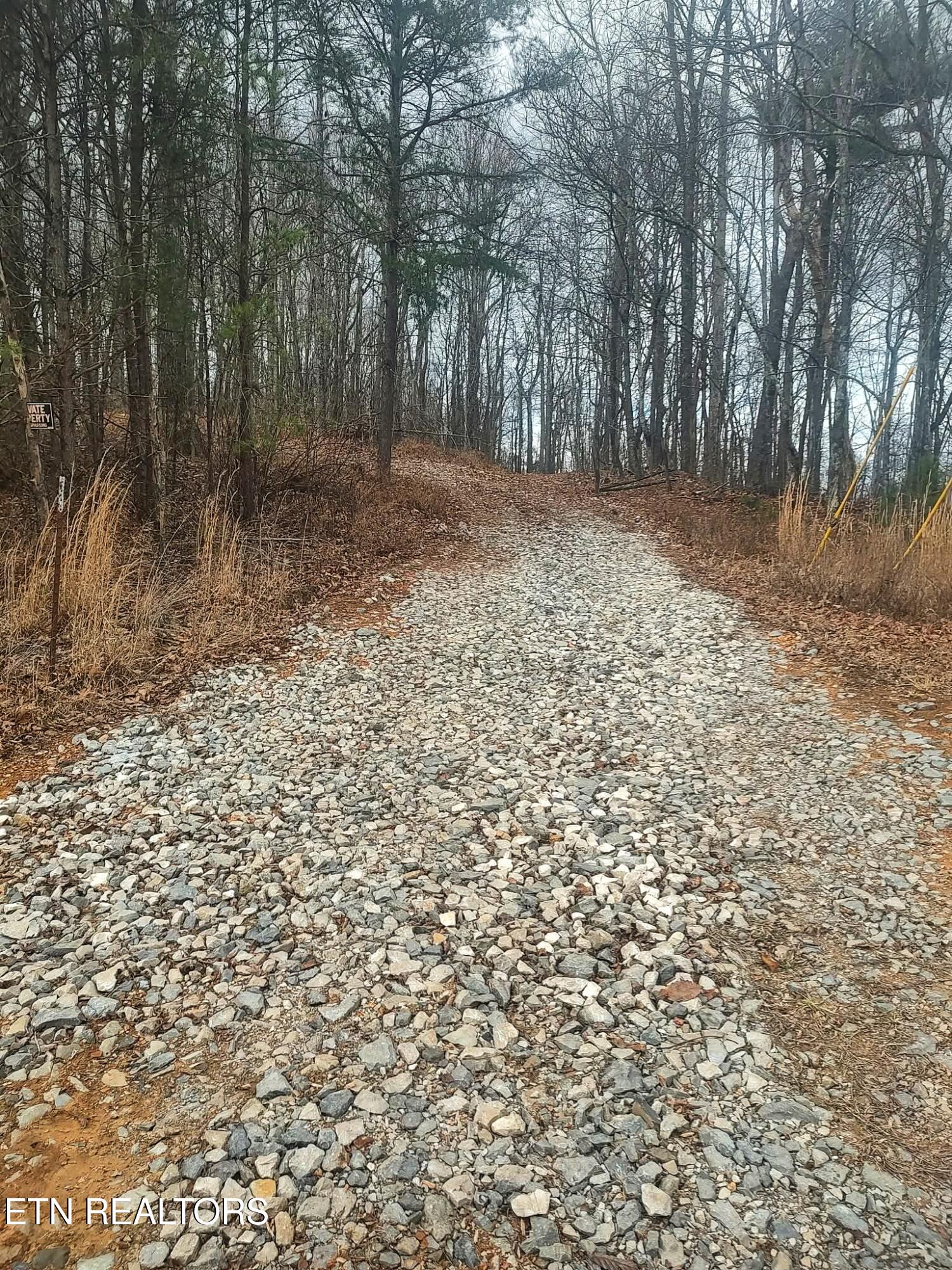 654 Briley Road Spring City TN 37381