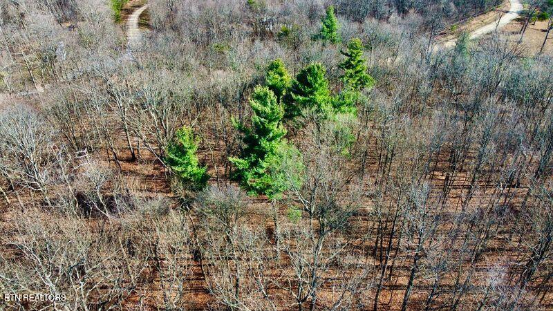 654 Briley Road Spring City TN 37381