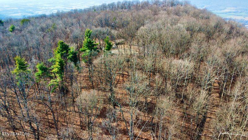 654 Briley Road Spring City TN 37381