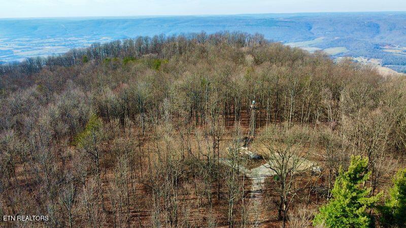654 Briley Road Spring City TN 37381