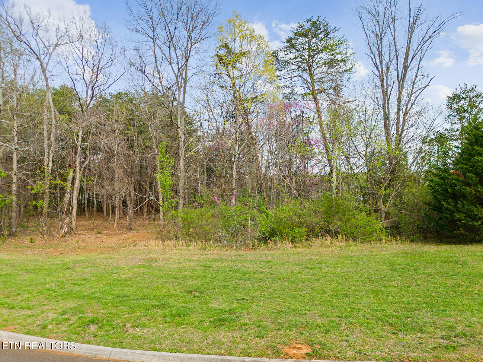 L-103 Falcon Trail Vonore TN 37885
