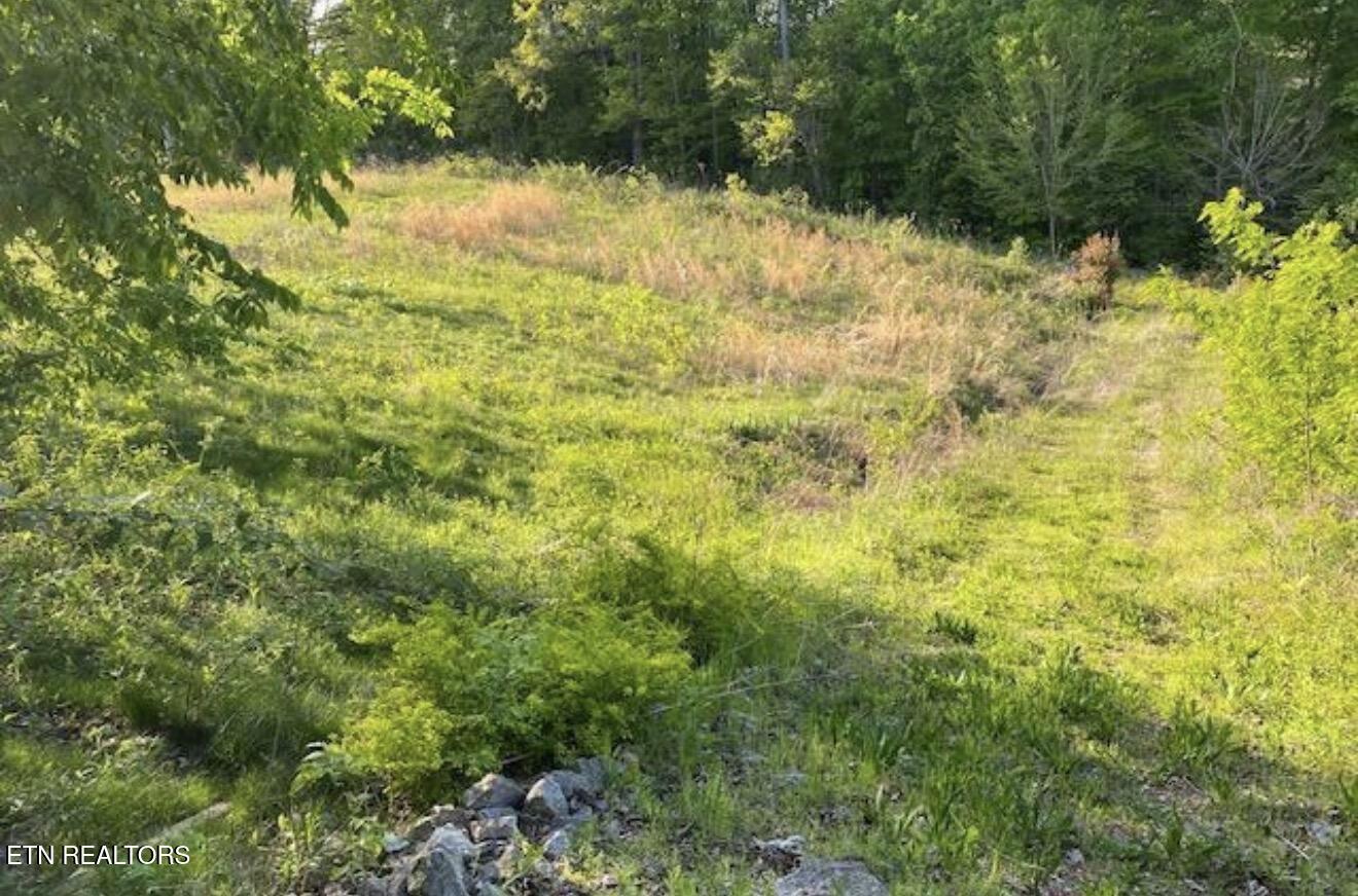 3990 Mountain Vista Road Knoxville TN 37931