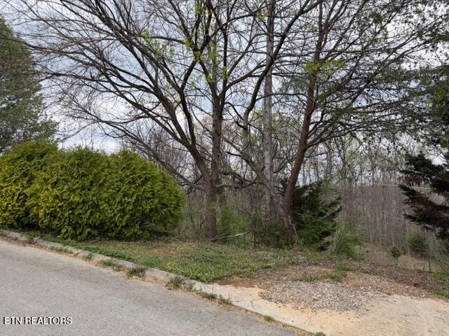 3990 Mountain Vista Road Knoxville TN 37931