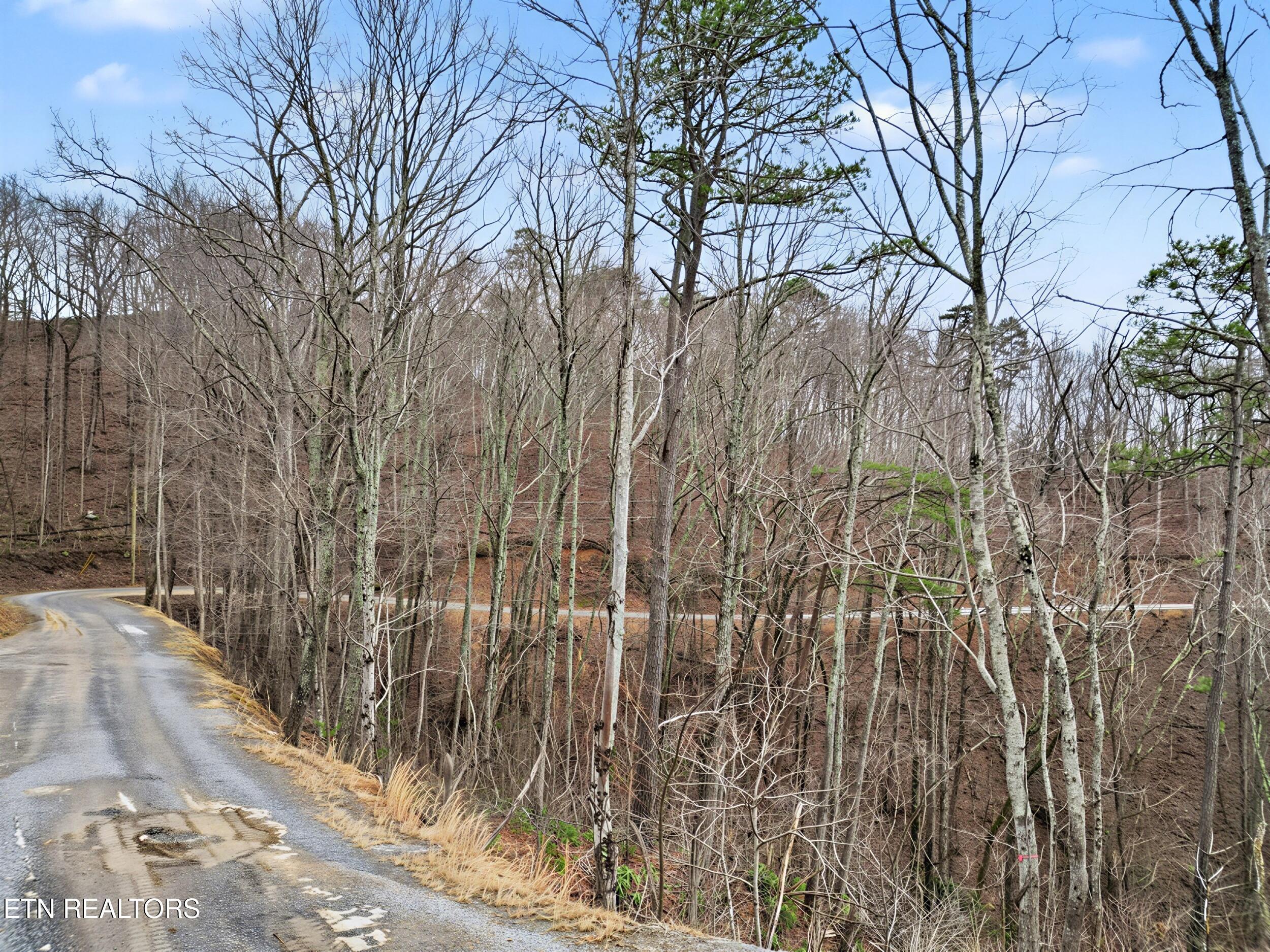 Sugar Maple Loop Road Sevierville TN 37862