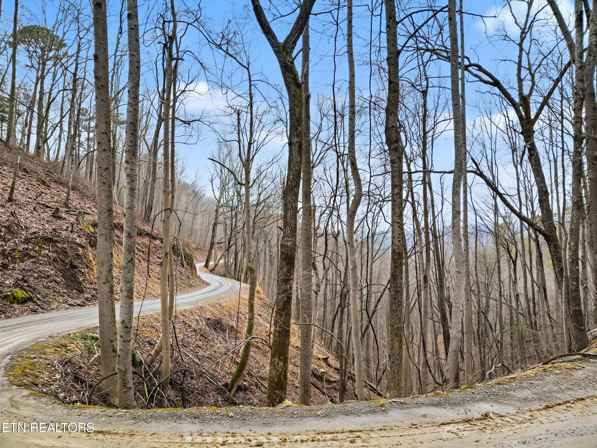 Sugar Maple Loop Road Sevierville TN 37862