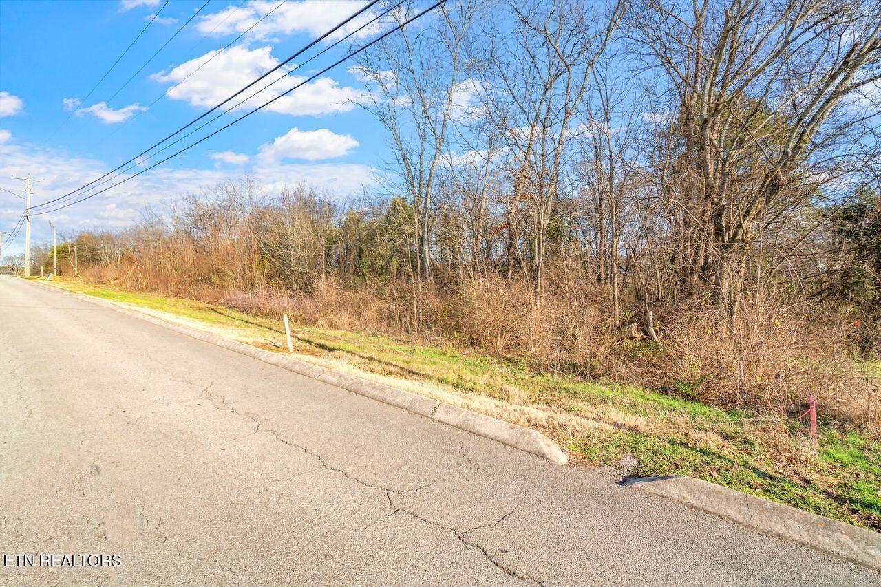 Lots 3 & 4 Old Athens Pike Sweetwater TN 37874