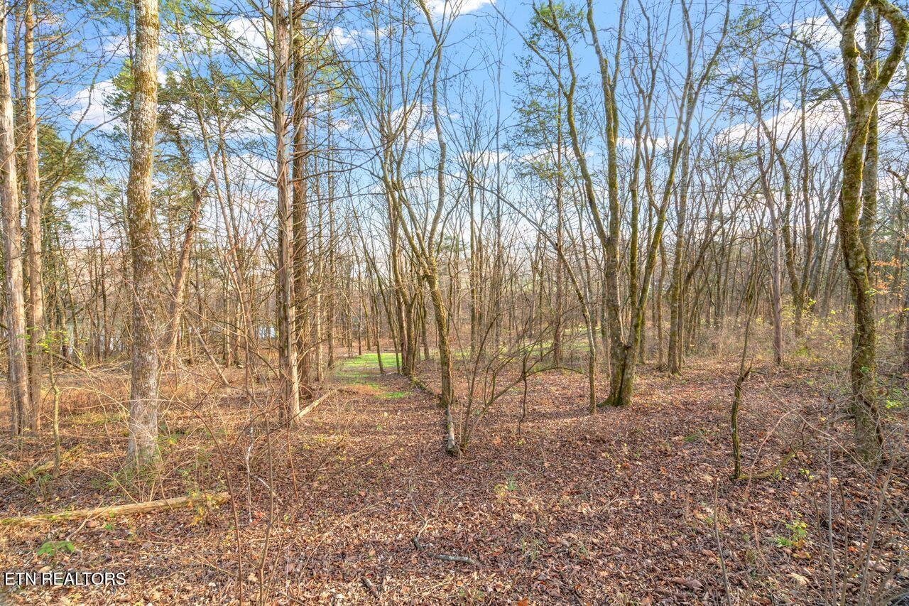 Lots 3 & 4 Old Athens Pike Sweetwater TN 37874