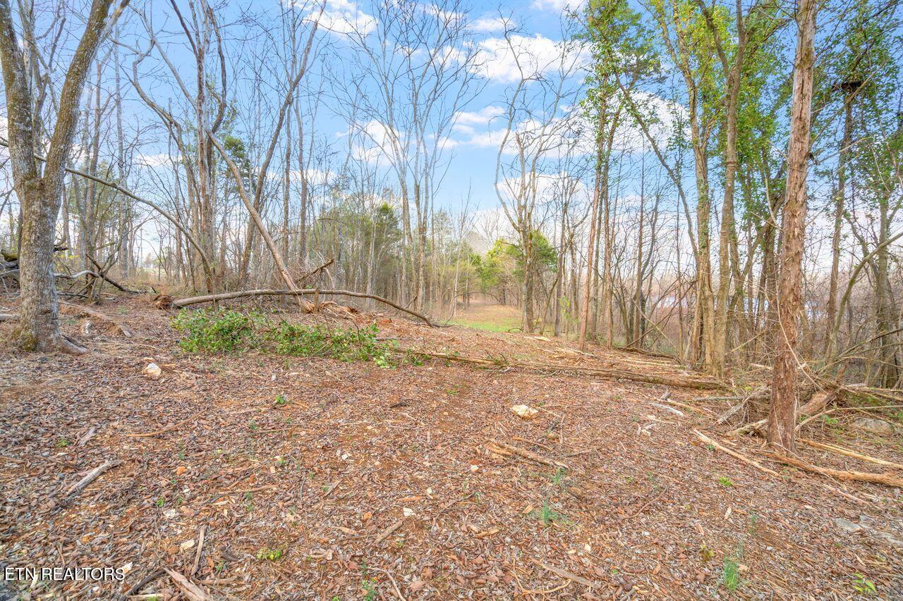 Lots 3 & 4 Old Athens Pike Sweetwater TN 37874