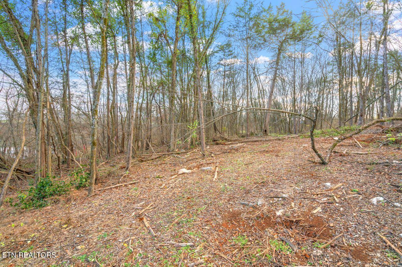 Lots 3 & 4 Old Athens Pike Sweetwater TN 37874