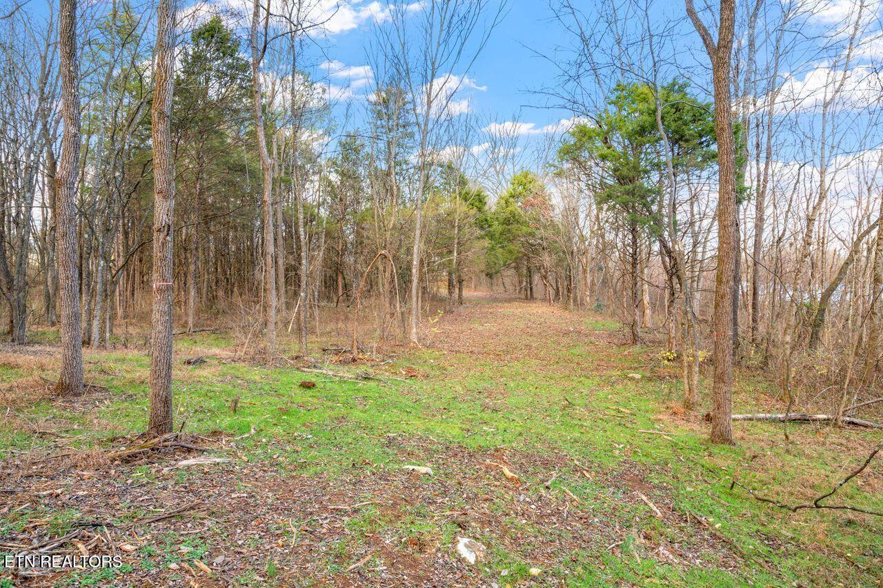 Lots 3 & 4 Old Athens Pike Sweetwater TN 37874