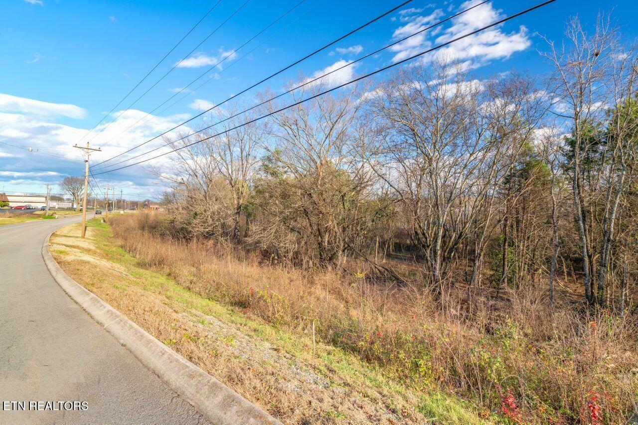 Lots 3 & 4 Old Athens Pike Sweetwater TN 37874