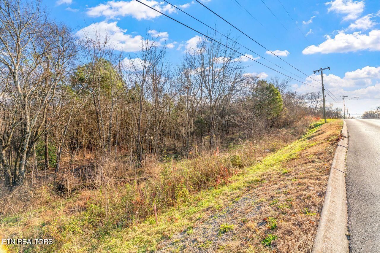 Lots 3 & 4 Old Athens Pike Sweetwater TN 37874