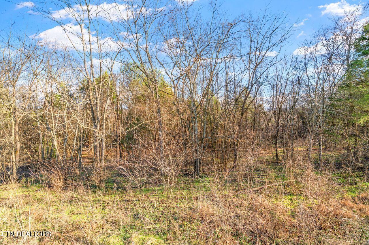 Lots 3 & 4 Old Athens Pike Sweetwater TN 37874