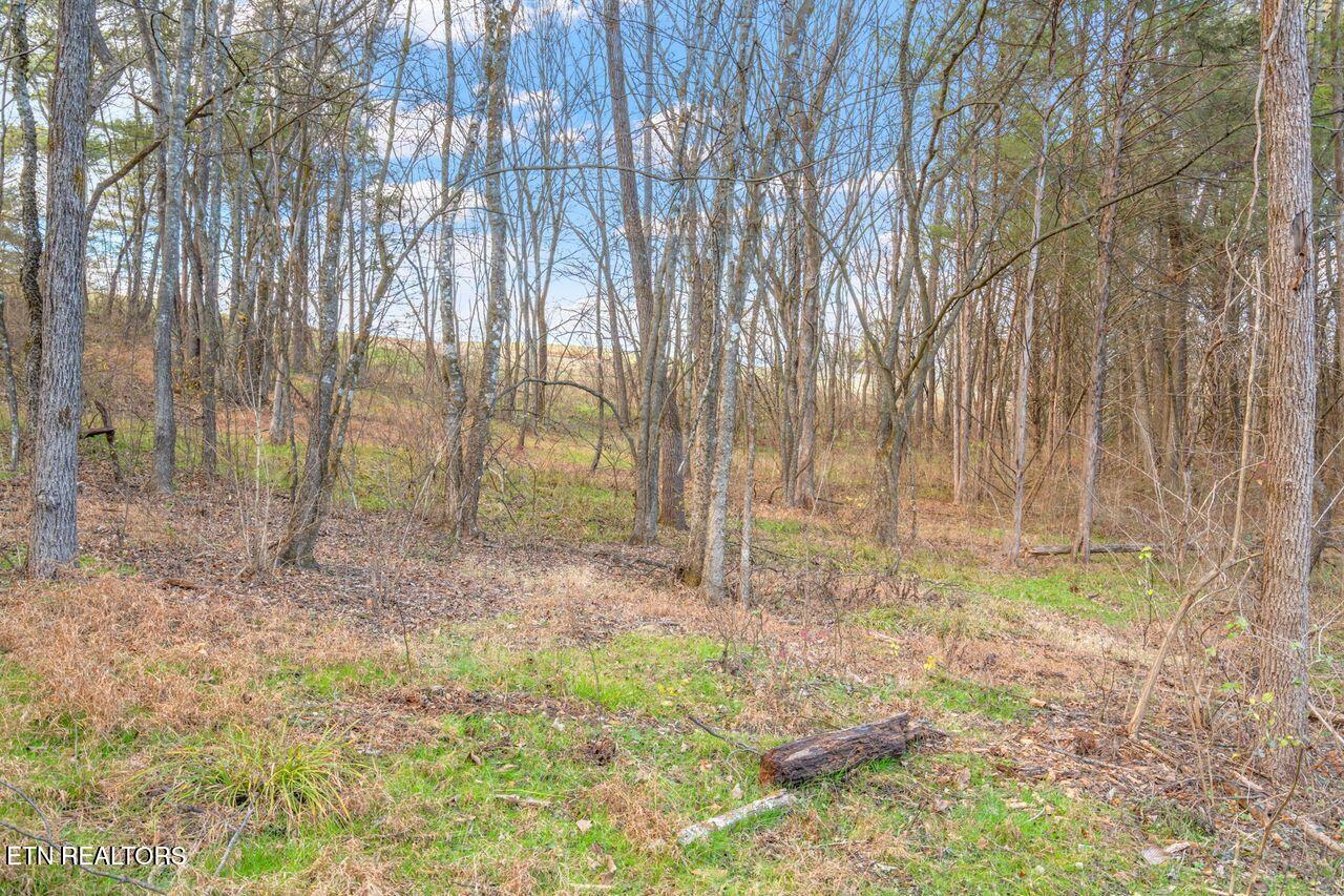 Lots 3 & 4 Old Athens Pike Sweetwater TN 37874