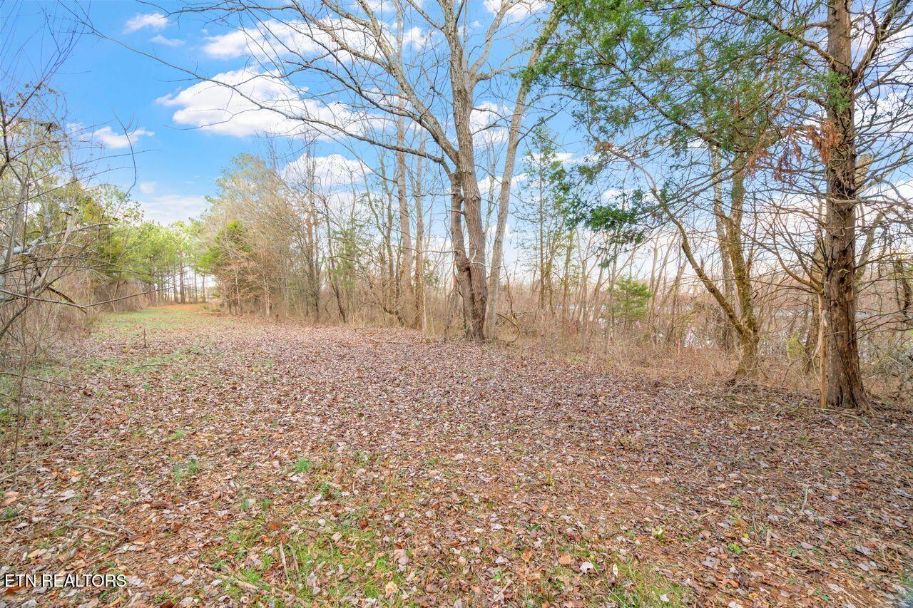 Lots 3 & 4 Old Athens Pike Sweetwater TN 37874