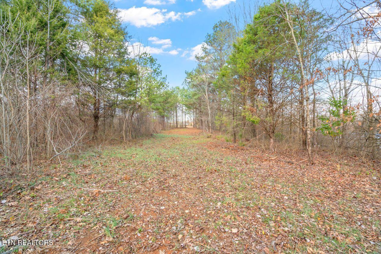Lots 3 & 4 Old Athens Pike Sweetwater TN 37874