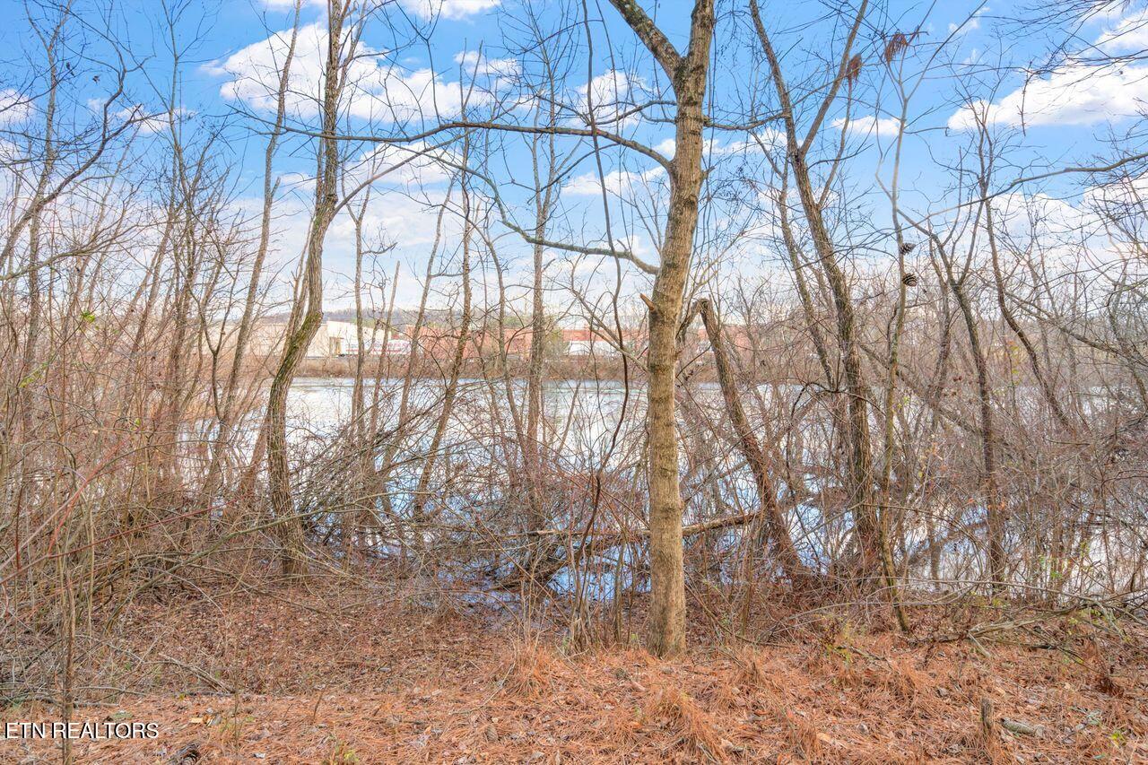 Lots 3 & 4 Old Athens Pike Sweetwater TN 37874