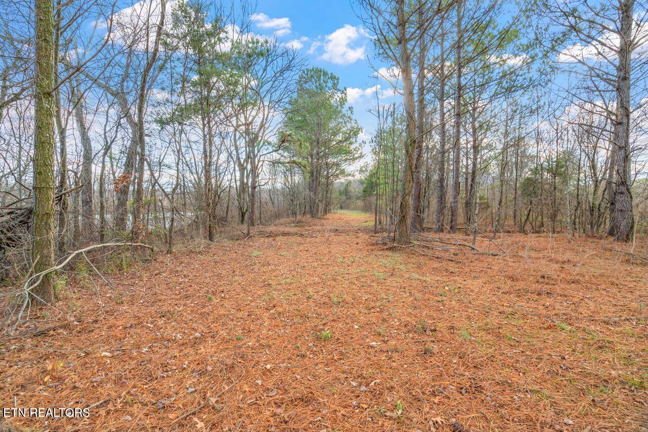 Lots 3 & 4 Old Athens Pike Sweetwater TN 37874