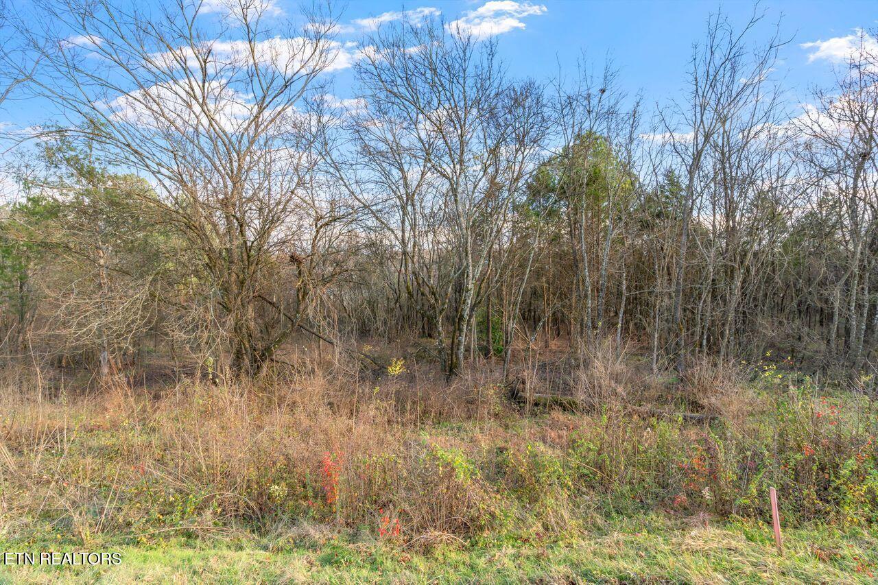 Lots 3 & 4 Old Athens Pike Sweetwater TN 37874