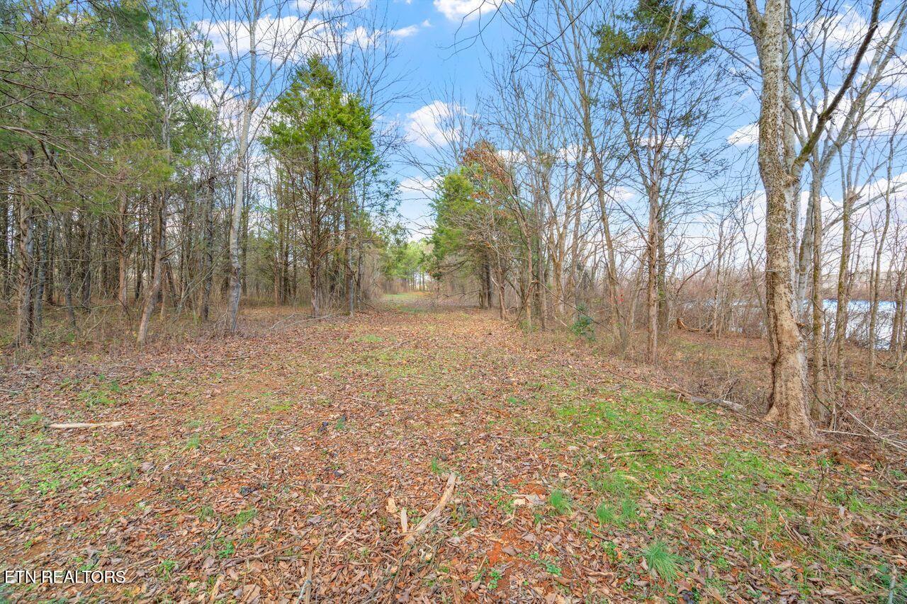 Lots 3 & 4 Old Athens Pike Sweetwater TN 37874