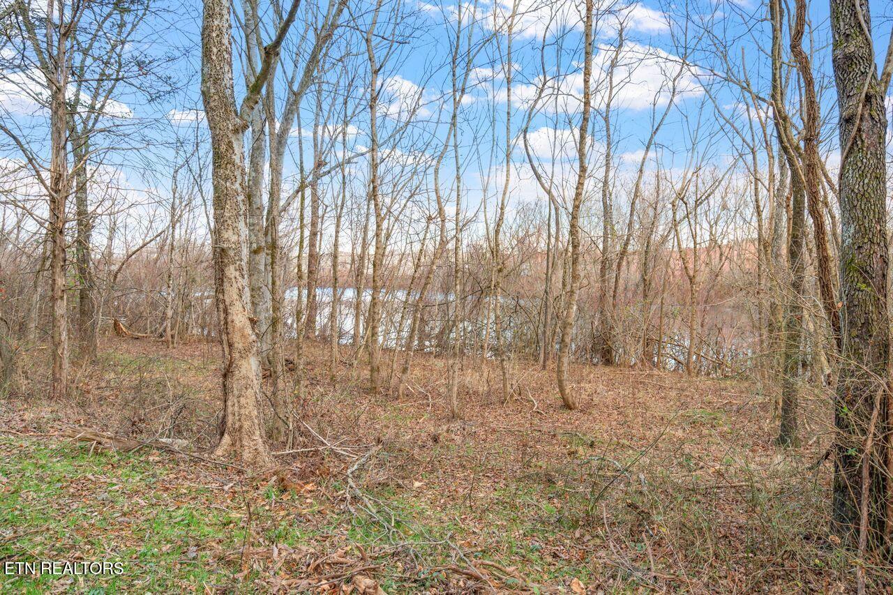 Lots 3 & 4 Old Athens Pike Sweetwater TN 37874