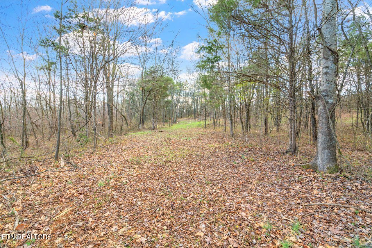 Lots 3 & 4 Old Athens Pike Sweetwater TN 37874