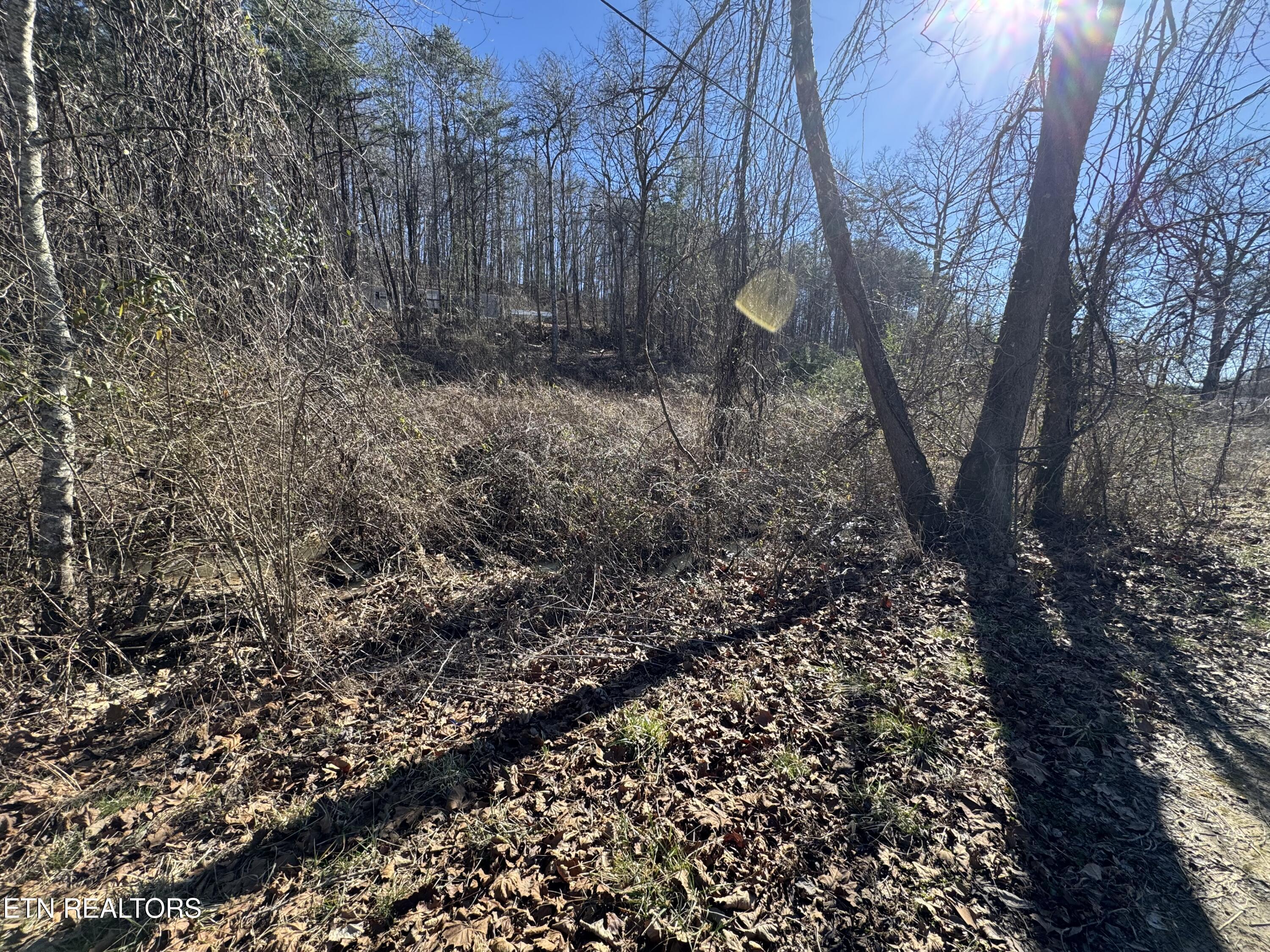 Scott Highway Helenwood TN 37755