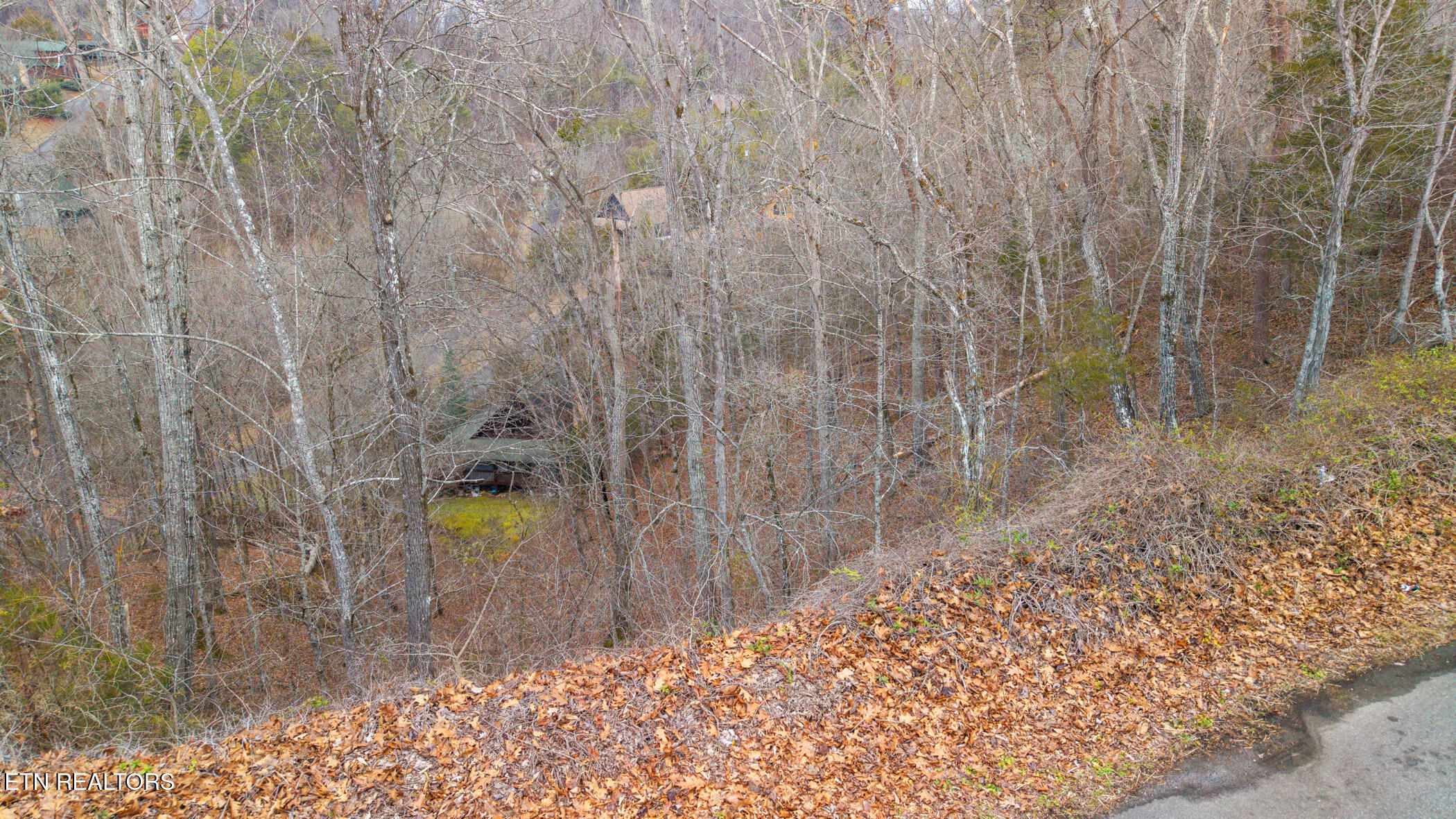 Lot 65 Wingspan Drive Sevierville TN 37876