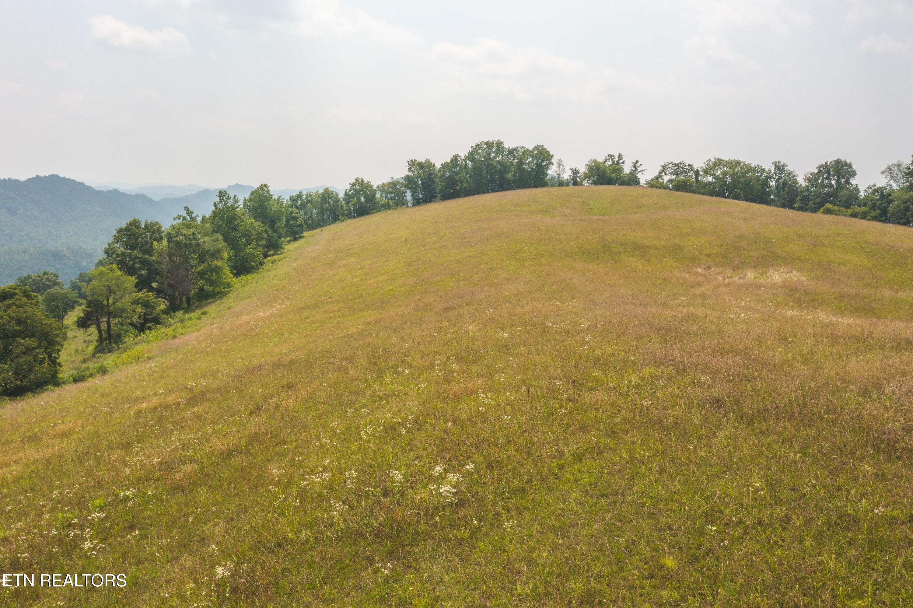 Lots 18-20 Big Springs Road Eidson TN 37731