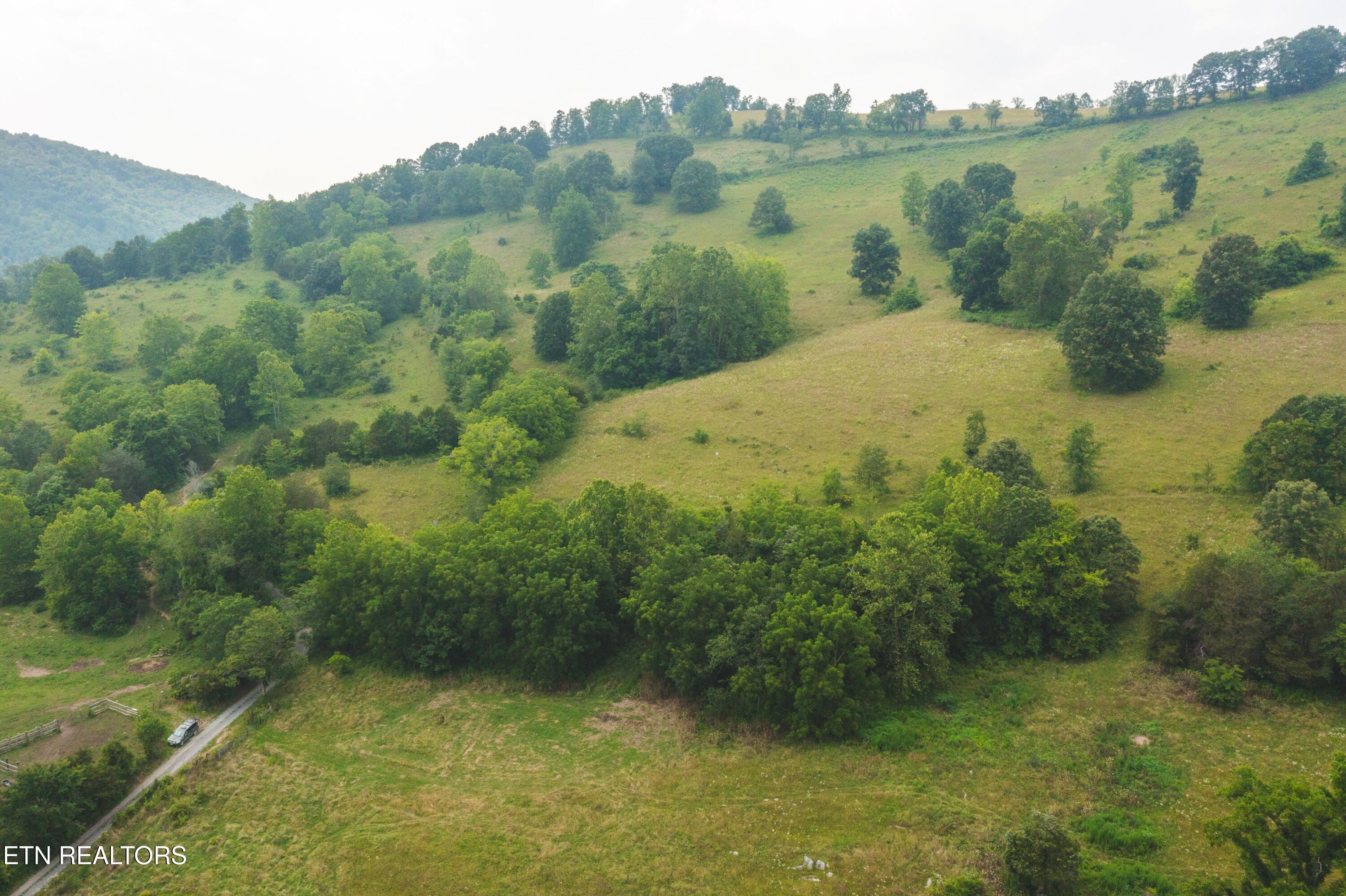 Lots 18-20 Big Springs Road Eidson TN 37731
