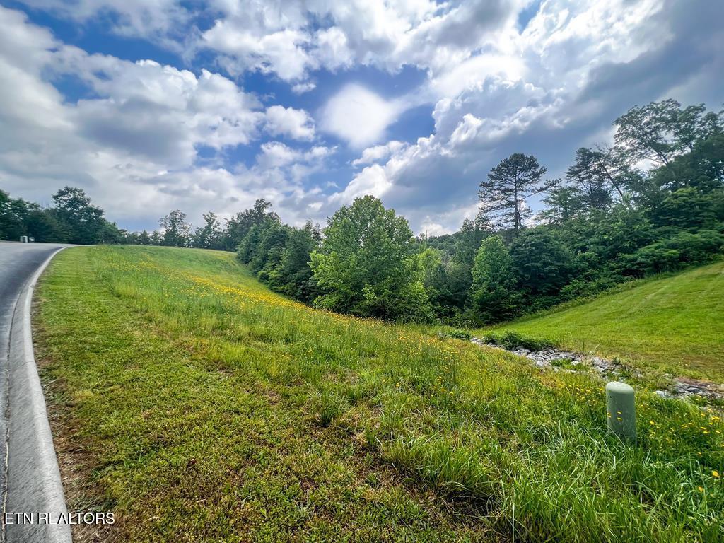 6213 Outlook Trail Russellville TN 37860