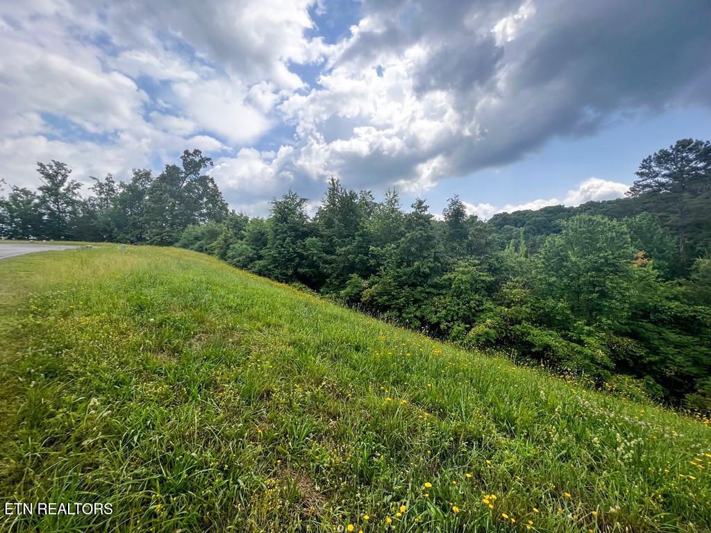6213 Outlook Trail Russellville TN 37860