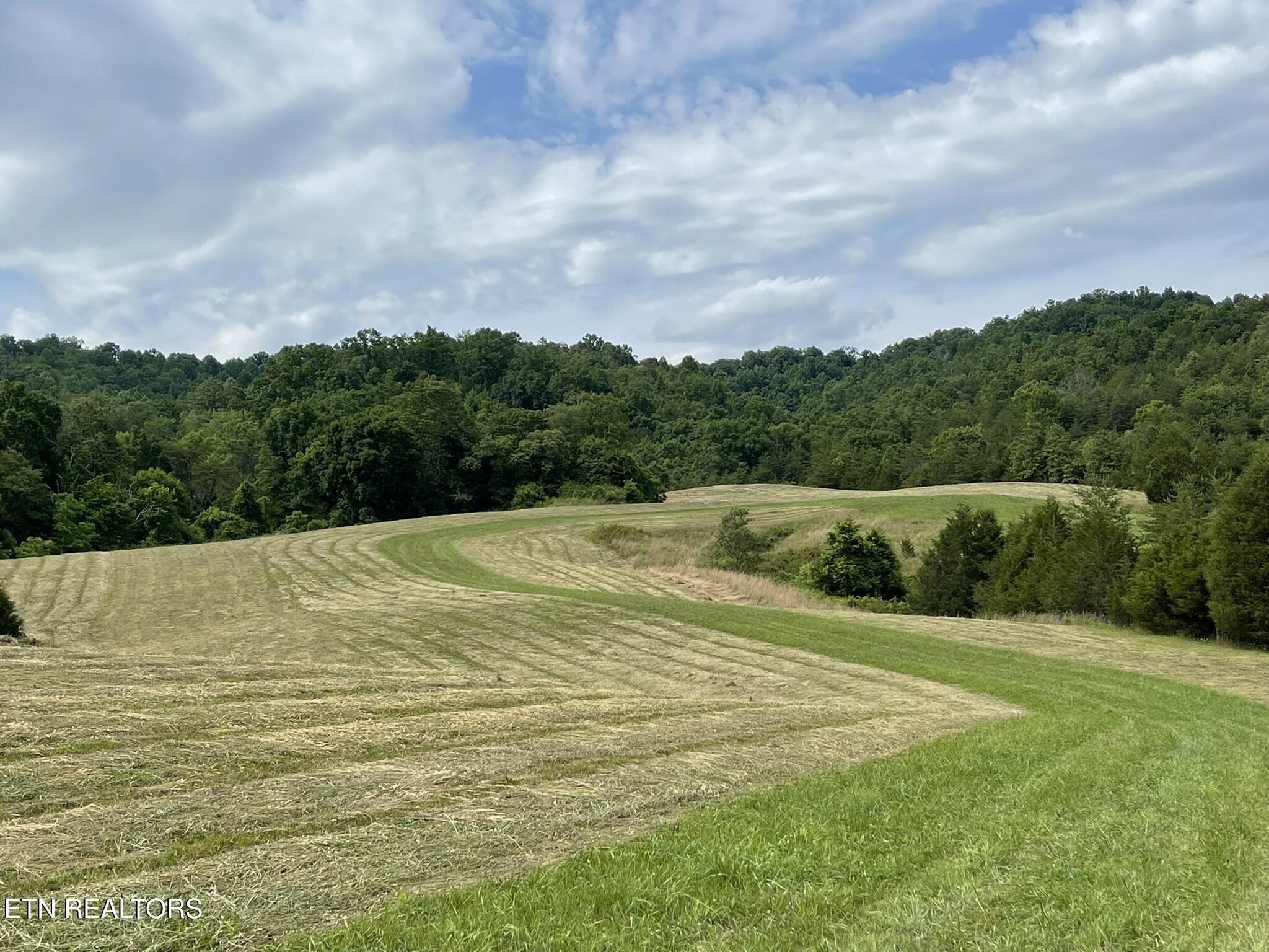 6948 Tazewell Highway Sneedville TN 37869