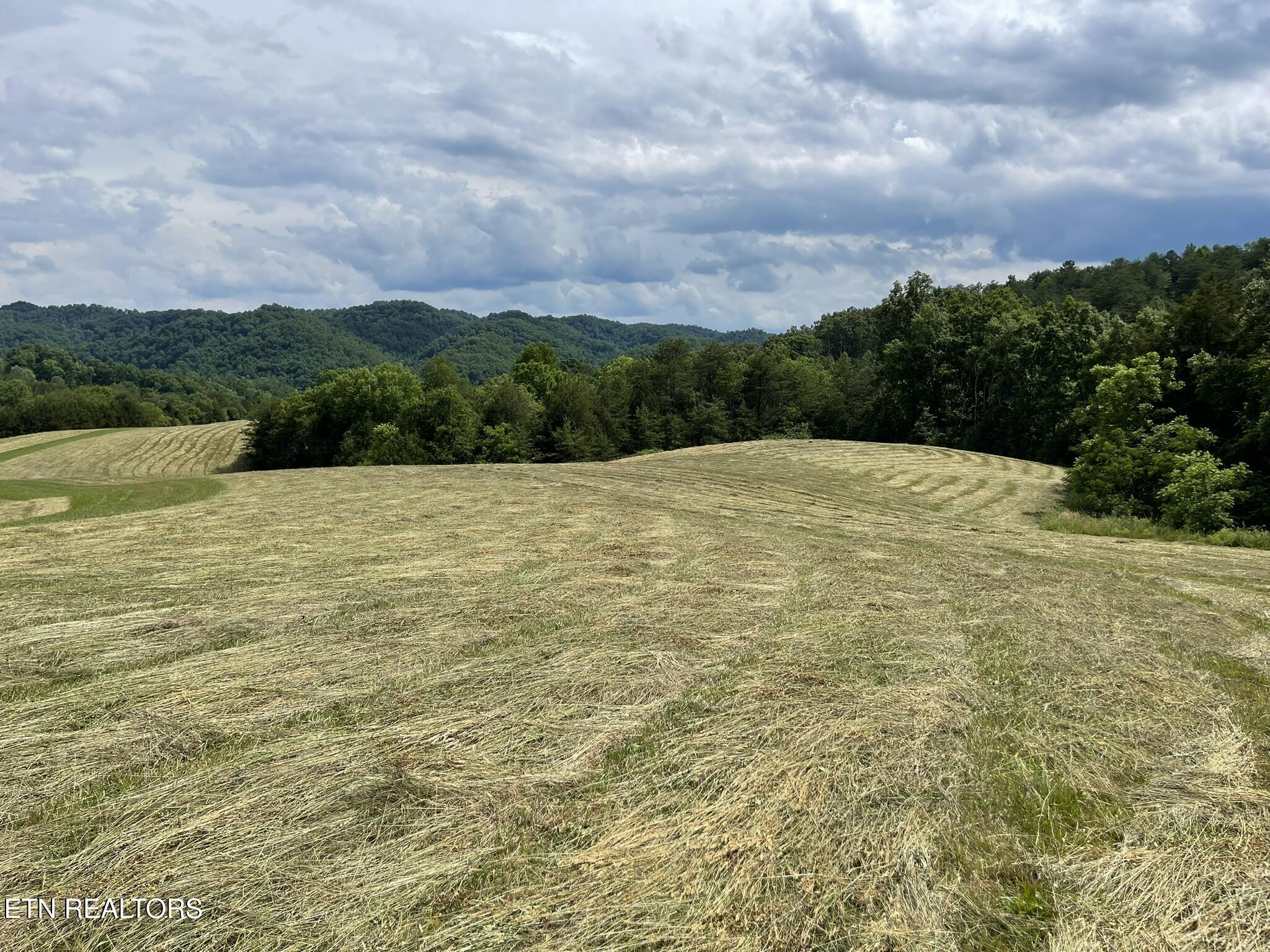 6948 Tazewell Highway Sneedville TN 37869