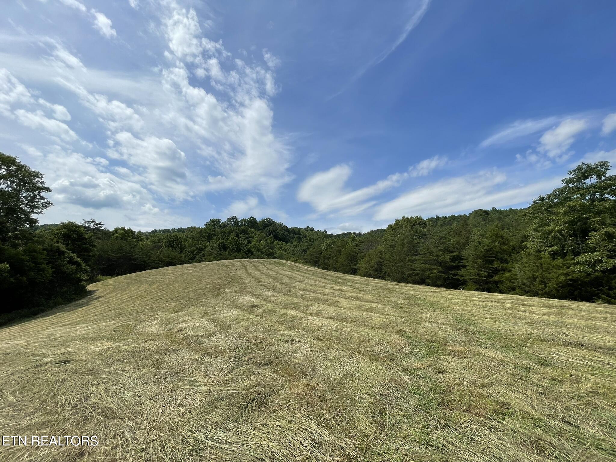 6948 Tazewell Highway Sneedville TN 37869