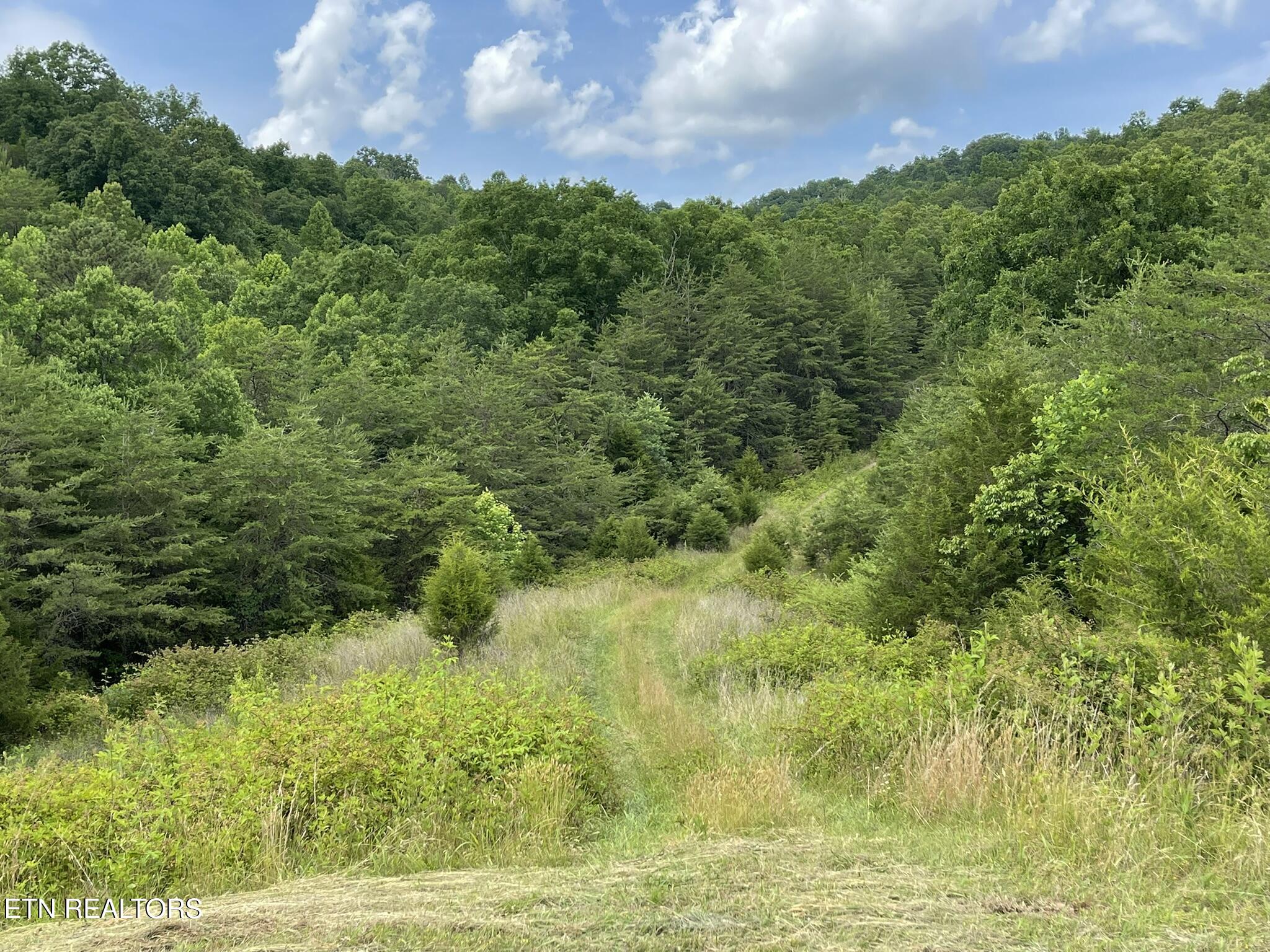 6948 Tazewell Highway Sneedville TN 37869