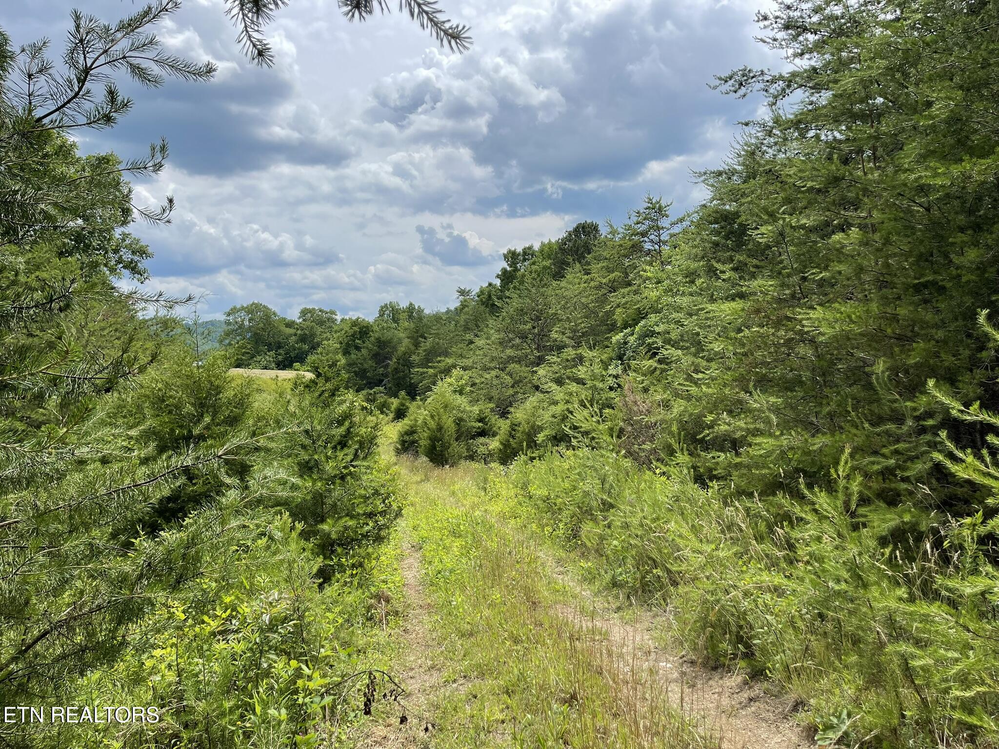 6948 Tazewell Highway Sneedville TN 37869