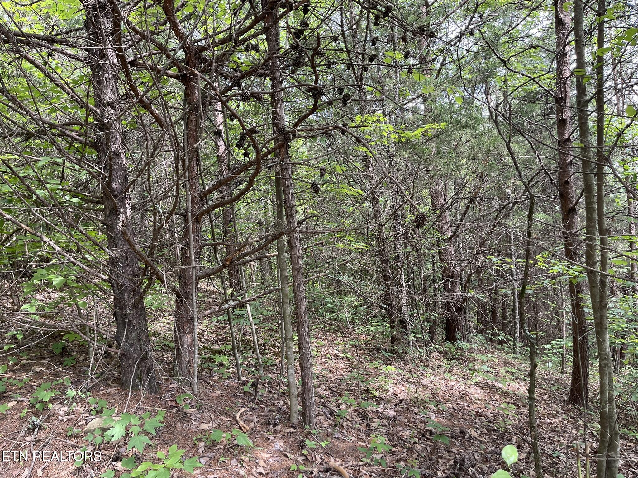 6948 Tazewell Highway Sneedville TN 37869