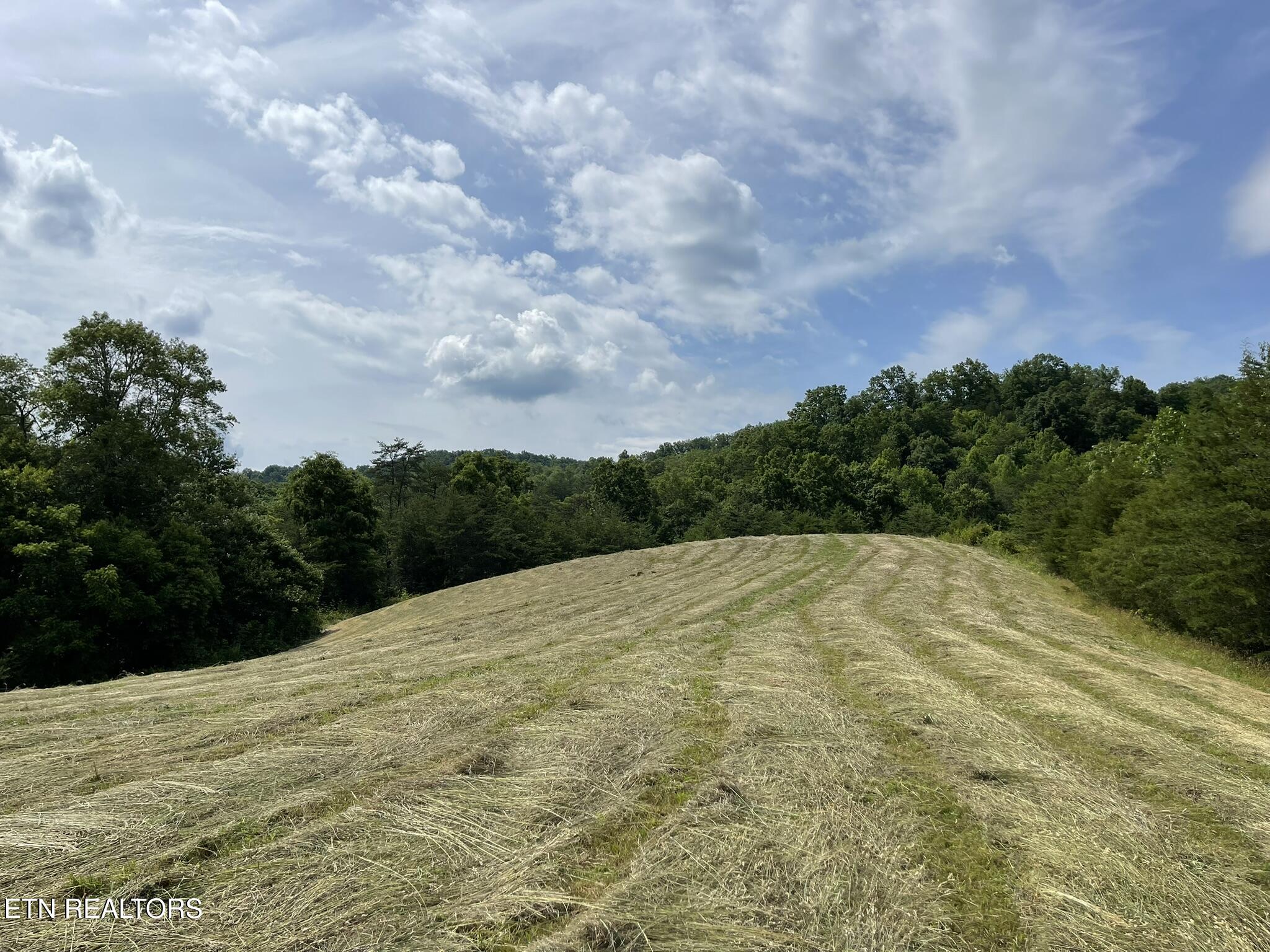 6948 Tazewell Highway Sneedville TN 37869