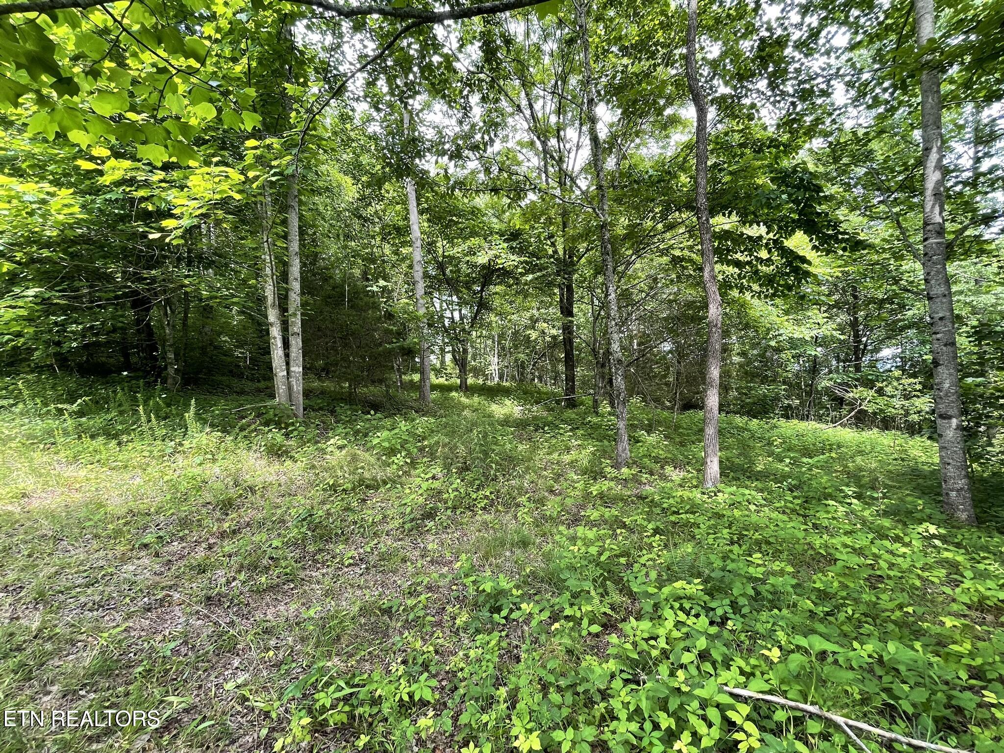 6948 Tazewell Highway Sneedville TN 37869