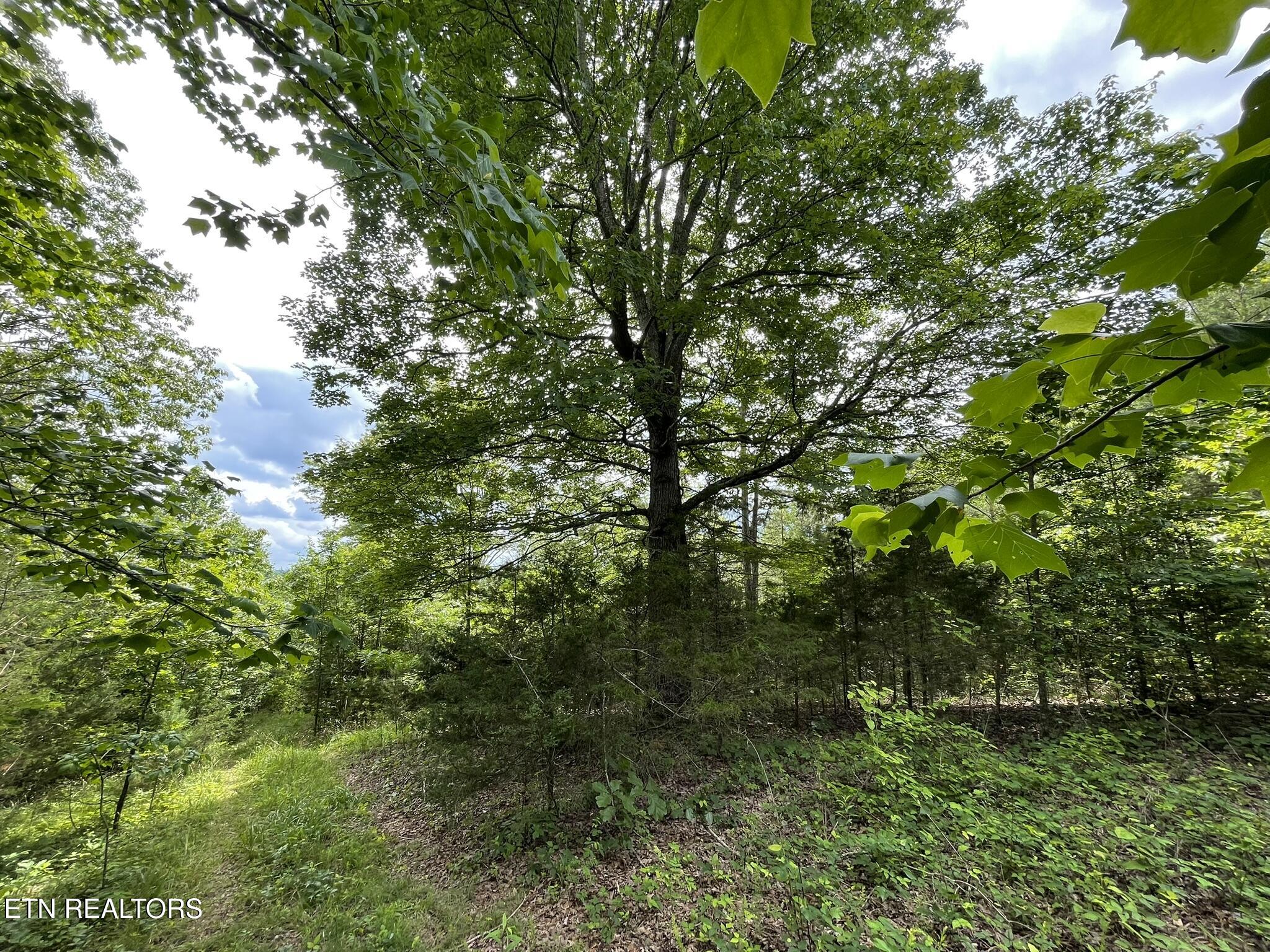 6948 Tazewell Highway Sneedville TN 37869