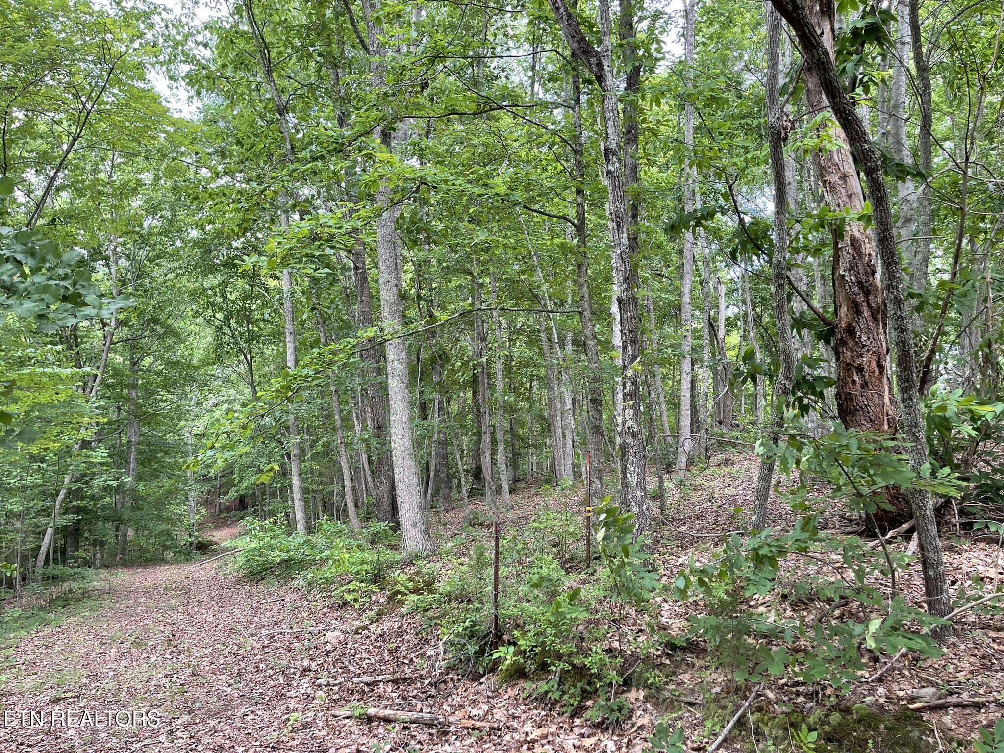 6948 Tazewell Highway Sneedville TN 37869