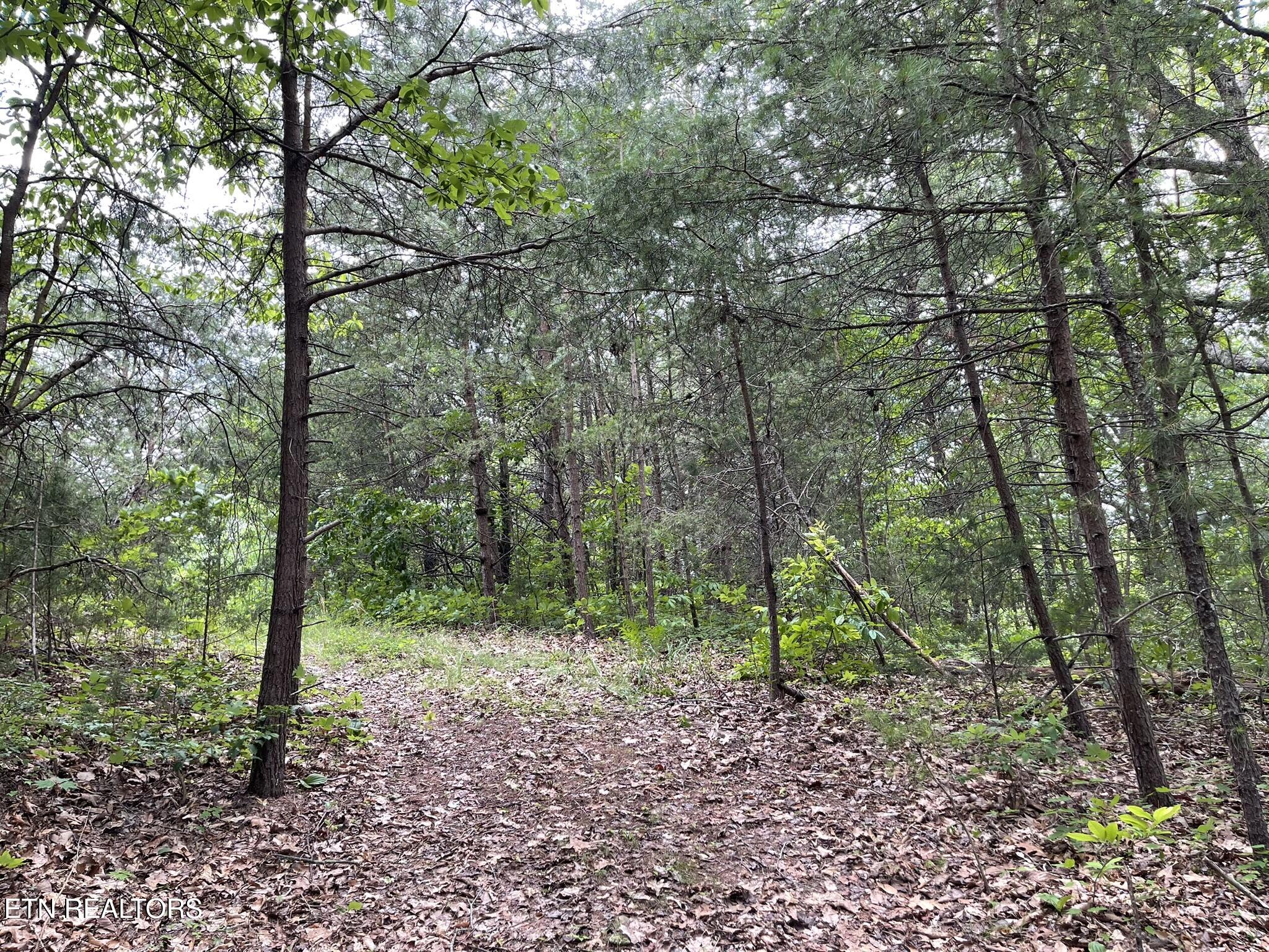 6948 Tazewell Highway Sneedville TN 37869