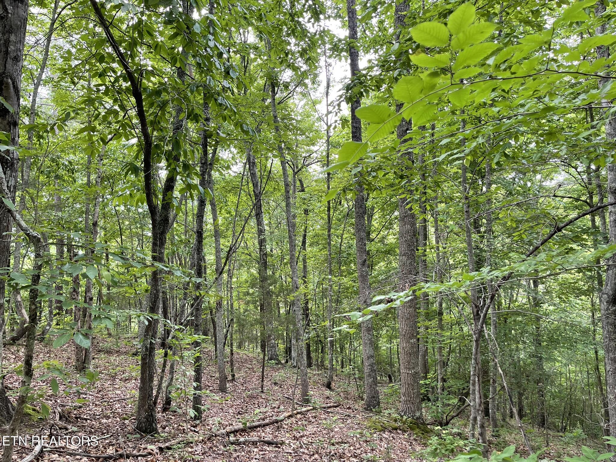 6948 Tazewell Highway Sneedville TN 37869