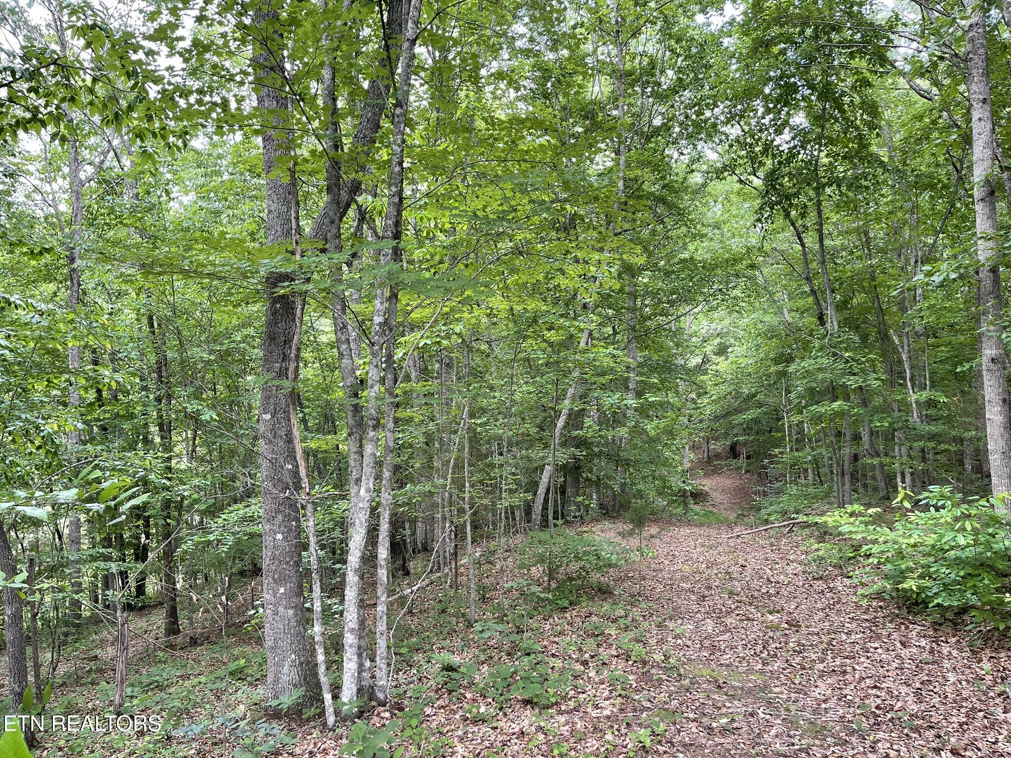 6948 Tazewell Highway Sneedville TN 37869