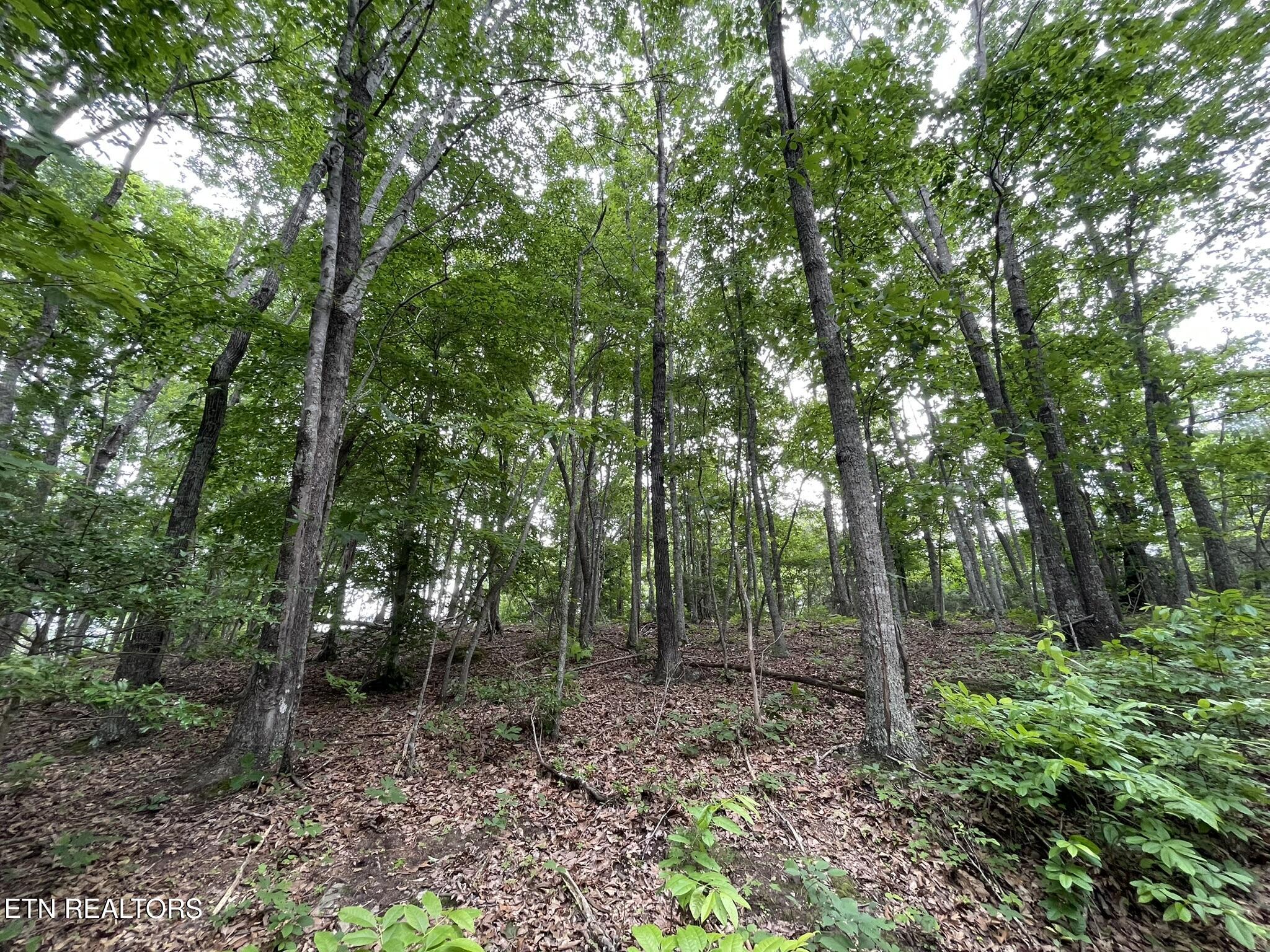 6948 Tazewell Highway Sneedville TN 37869