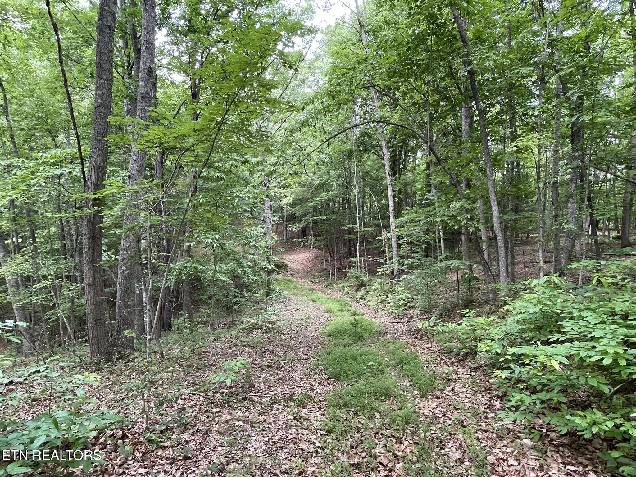 6948 Tazewell Highway Sneedville TN 37869
